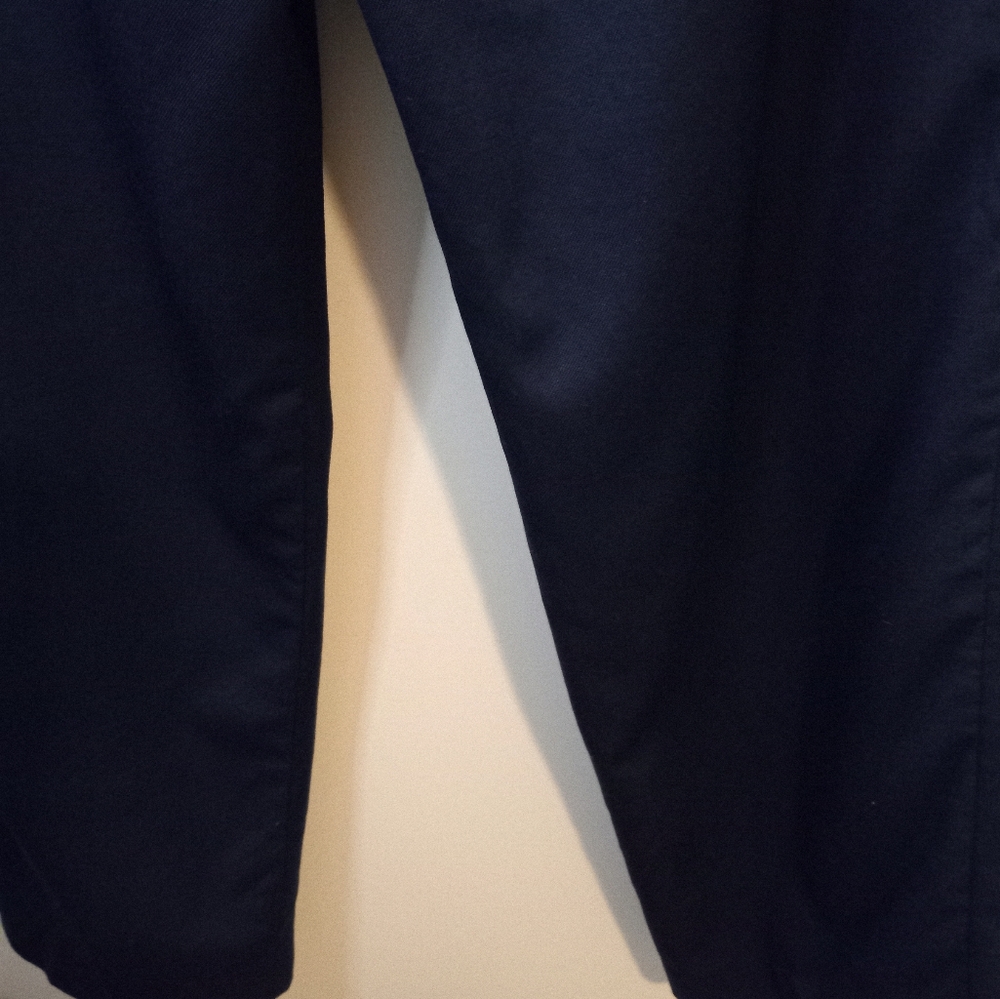 Pendleton Vintage 100% Virgin Wool Blue 10 Lined … - image 2